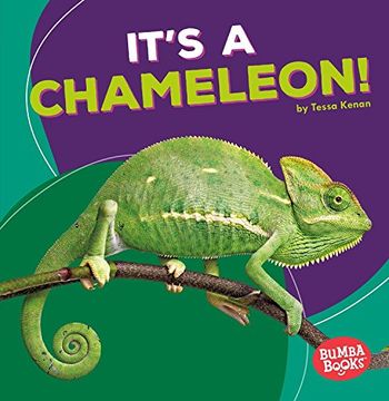 portada It's a Chameleon! (in English)