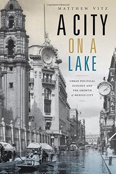 portada A City on a Lake: Urban Political Ecology and the Growth of Mexico City (Radical Perspectives) (en Inglés)