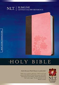 portada holy bible (en Inglés)