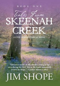 portada Tales From Skeenah Creek: A Civil War Historical Fiction Novel (en Inglés)