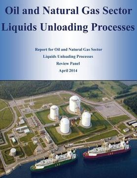 portada Oil and Natural Gas Sector Liquids Unloading Processes (en Inglés)