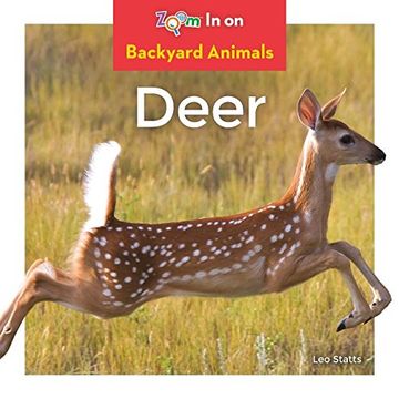portada Deer (Backyard Animals)