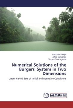 portada Numerical Solutions of the Burgers' System in Two Dimensions: Under Varied Sets of Initial and Boundary Conditions