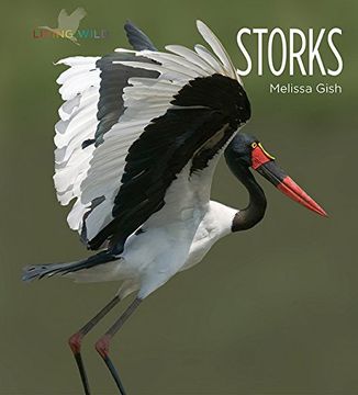 portada Storks (en Inglés)