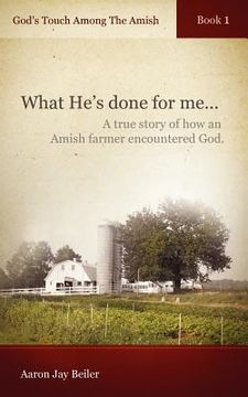 portada god's touch among the amish, book 1 (in English)