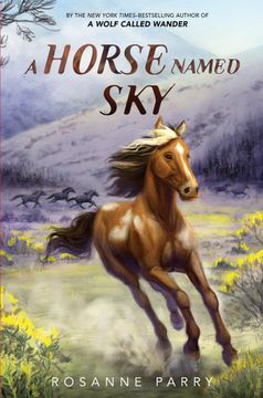 portada A Horse Named sky (en Inglés)