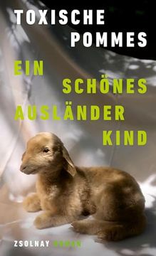 portada Ein Sch? Nes Ausl? Nderkind (in German)