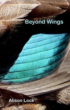 portada Beyond Wings (en Inglés)