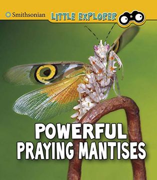 portada Powerful Praying Mantises (Insect Explorer) (in English)