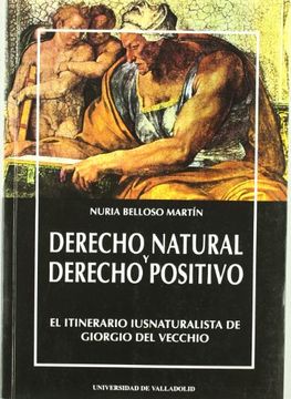 portada Derecho Natural y Derecho Positivo. El Itinerario Iusnaturalista de Giorgio del Vecchio (in Spanish)