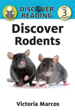 portada Discover Rodents (en Inglés)