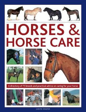 portada Horses & Horse Care: A Directory of 80 Breeds and Practical Advice on Caring for Your Horse (en Inglés)