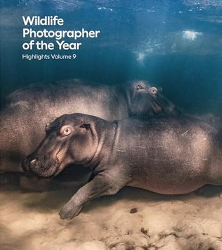 portada Wildlife Photographer of the Year: Highlights Volume 9: Volume 9 (en Inglés)