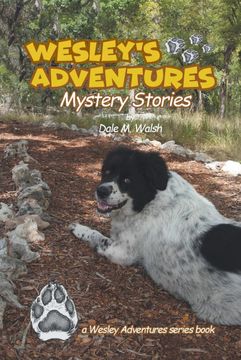 portada Wesley's Adventures: Mystery Stories (Wesley's Adventure Stories) (in English)