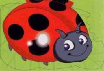 portada Ladybird: Chunky Animals (my Chunky Friend Story Book) [Board Book] (en Inglés)