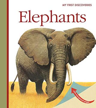 portada Elephants (my First Discoveries) (en Inglés)