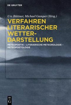portada Verfahren literarischer Wetterdarstellung (en Alemán)