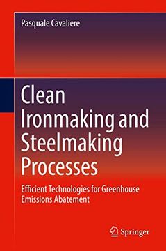portada Clean Ironmaking and Steelmaking Processes: Efficient Technologies for Greenhouse Emissions Abatement (en Inglés)