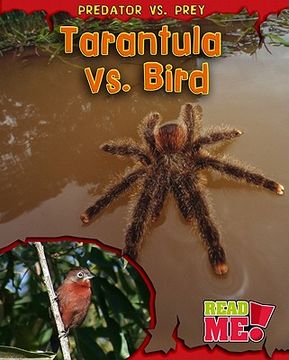 portada Tarantula vs. Bird 