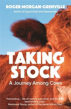 portada Taking Stock: A Journey Among Cows (en Inglés)