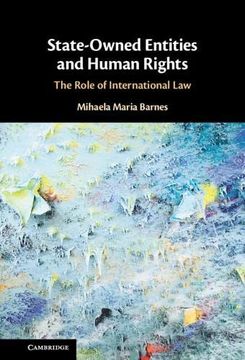portada State-Owned Entities and Human Rights: The Role of International law (in English)