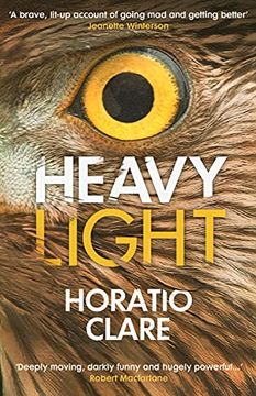 portada Heavy Light: A Journey Through Madness, Mania and Healing (en Inglés)