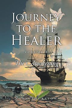portada Journey to the Healer: Volume 1: The Awakening (en Inglés)