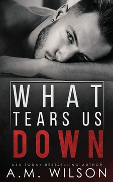 What Tears Us Down (en Inglés)
