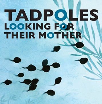 portada Tadpoles Looking for Their Mother (en Inglés)