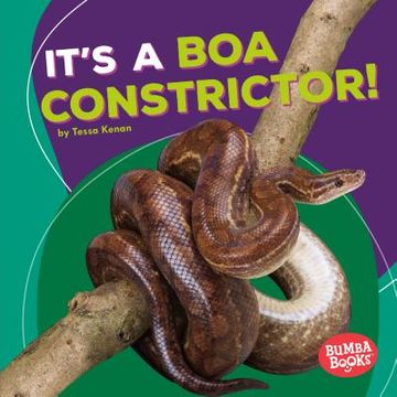 portada It's a boa Constrictor! (Bumba Books ® ― Rain Forest Animals) (en Inglés)