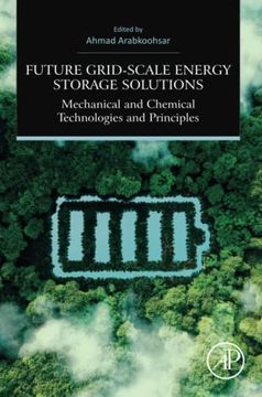 portada Future Grid-Scale Energy Storage Solutions: Mechanical and Chemical Technologies and Principles (en Inglés)