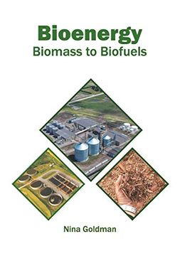 portada Bioenergy: Biomass to Biofuels (in English)