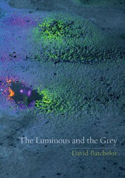 portada The Luminous and the Grey