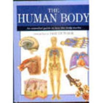 portada The Human Body: An Essential Guide to how the Body Works (Expert Guide) (in English)
