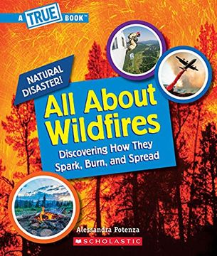 portada All About Wildfires (True Book) (en Inglés)