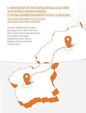 portada Capacidad de Internacionalizacion Actividad Innovadora e Intraemprendimiento en la Mipyme un Analisis Cross-Cultural Aguascalientes-Murcia (2013) Ccea (in Spanish)