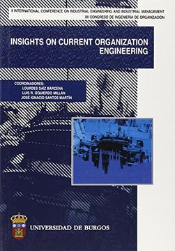 portada Insights on current organization engineering (Congresos y Cursos)