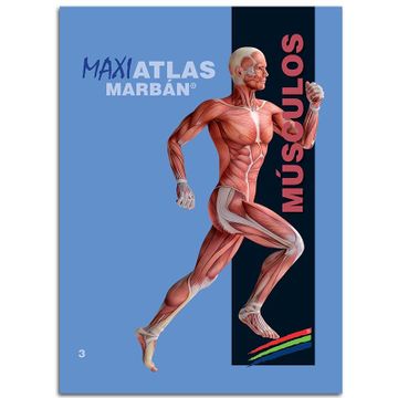 portada Musculos (Maxi Atlas 3) (in Spanish)