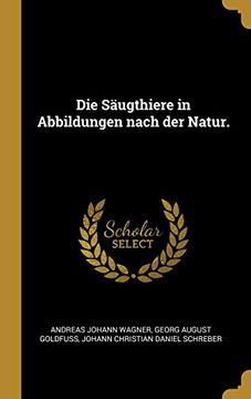 portada Die Säugthiere in Abbildungen Nach Der Natur. 