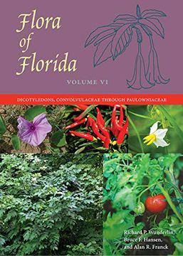 portada Flora of Florida, Volume vi: Dicotyledons, Convolvulaceae Through Paulowniaceae 