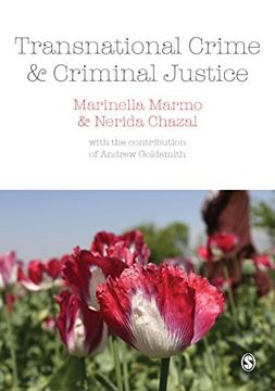 portada Transnational Crime and Criminal Justice