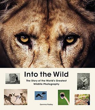 portada Into the Wild: The Story of the World's Greatest Wildlife Photography (en Inglés)
