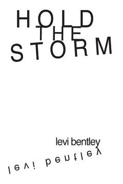 portada Hold the Storm (in English)