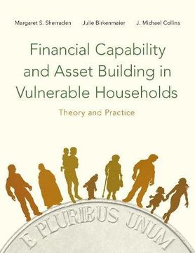 portada Financial Capability and Asset Building in Vulnerable Households: Theory and Practice (in English)