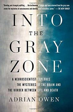 portada Into the Gray Zone Format: Paperback (en Inglés)