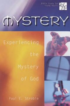 portada 20/30 bible study for young adults mystery (in English)