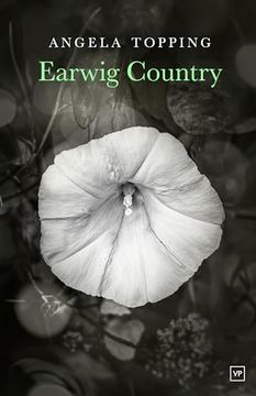 portada Earwig Country