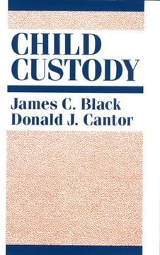 portada Child Custody (en Inglés)