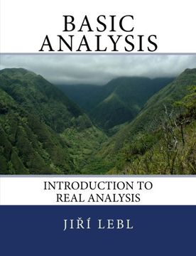 Libro Basic Analysis: Introduction To Real Analysis, Jiri Lebl, ISBN ...