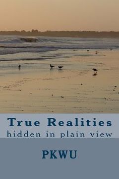portada True Realities: hidden in plain view (en Inglés)